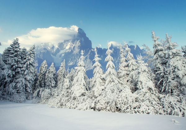 چشم انداز زیبا از کوه های با شکوه در زمستان برف جادویی درختان را پوشانده است کارپاتی اوکراین سال نو مبارک