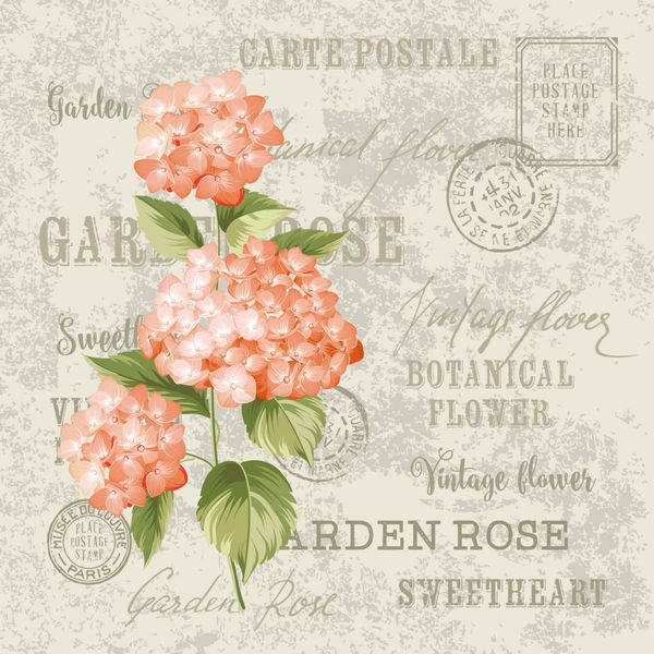 طراحی گل های گلدار برای قالب کارت دعوت کارت پستال پس زمینه قالب برداری برای دعوت عروسی برچسب با گل هاتنسایا تصویر برداری