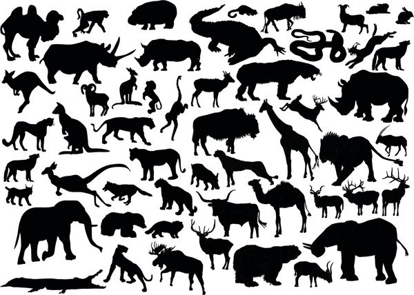 تصویر با مجموعه حیوانات مجموعه های silhouettes جدا شده بر روی زمینه سفید