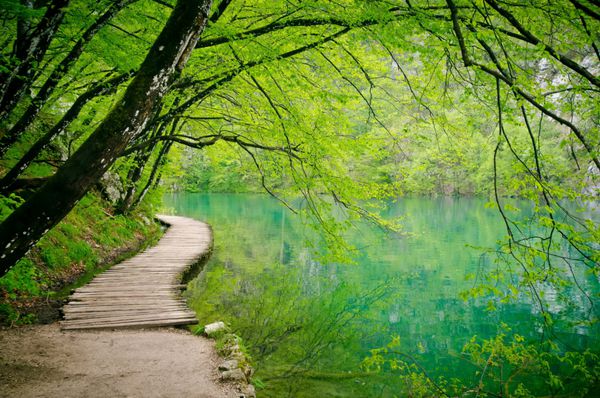 مسیر چوبی و آبشار در پارک ملی Plitvice کرواسی