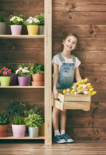 دختر بچه ناز مراقبت از گیاهان او دختر برگزاری جعبه چوبی با لاله ها مفهوم بهار طبیعت و مراقبت
