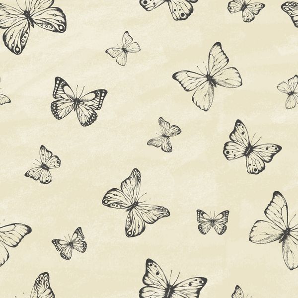 مجموعه ای از پروانه های دست کشیده شده مجموعه Entomological از پروانه های دست بسیار کشیده شده است سبک یکپارچهسازی با سیستمعامل الگوی بدون درز تصویر برداری