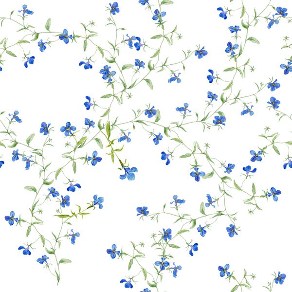 الگوی بدون درز از گل های آبی کمی الگو با گل های آبی الگوی بدون درز از گل های آبی کمی گل های آبرنگ الگوی آبرنگ با گلهای وحشی