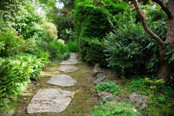 زیبای راه پله سنگی از طریق باغ چشم انداز سبز