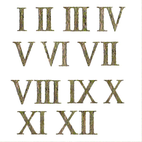 اعداد رومی از بافت پوست جدا شده بر روی زمینه سفید