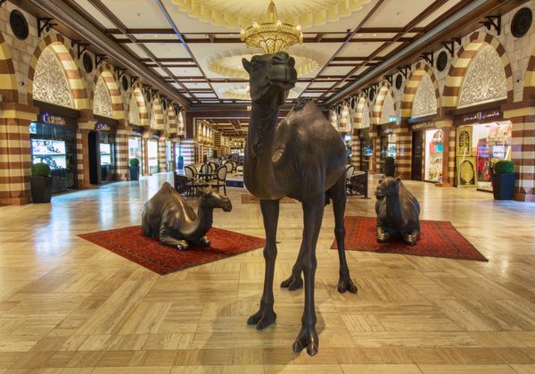 دوبی امارات متحده عربی فوریه 29 2016 شتر در مرکز خرید لوکس در دبی دبی امارات متحده عربی