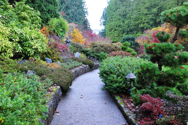 نگاه پاییز باغ ژاپنی زیبا در داخل باغ های تاریخی باتچارت بیش از 100 سال در شکوفه ویکتوریا بریتیش کلمبیا کانادایی