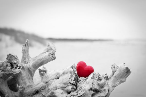 قلب قرمز در تنه درخت در ساحل نماد عاشقانه عشق روز ولنتاین سیاه و سفید در برابر قرمز