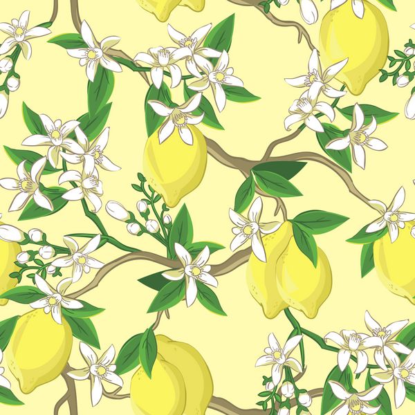 الگوی گل با لیمو و گل های سفید پس زمینه بدون درز بردار در سبک چینی