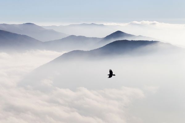 سایه ها از کوه ها در غبار و پرنده پرواز
