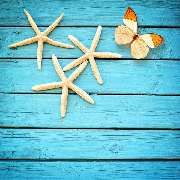 تابستان ساحل ستاره دریایی و پروانه بر روی زمینه آبی های چوبی