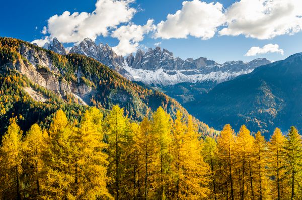 چشم انداز کوهستانی در پاییز با درختان رنگارنگ در پیش زمینه