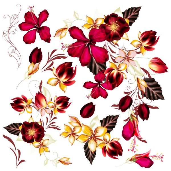 مجموعه ای از مجموعه ای از مجموعه ای از گل های زیبای واقع گرایانه برای طراحی هابیسکوس و گل رز