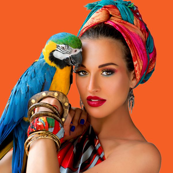 پرتره زن جوان جذاب در سبک آفریقایی با طوطی عرب بر روی دست خود را بر روی زمینه های رنگارنگ