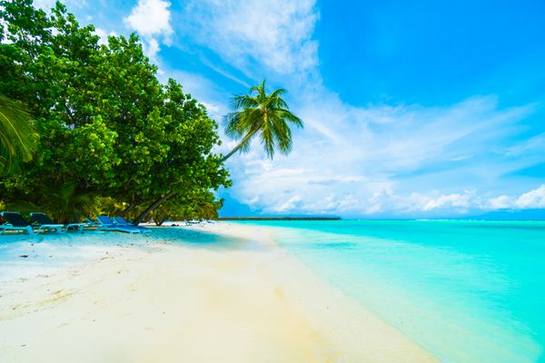 ساحل زیبای گرمسیری و دریا در جزیره مالدیو با درخت نارگیل درخت و آبی آسمان پس زمینه