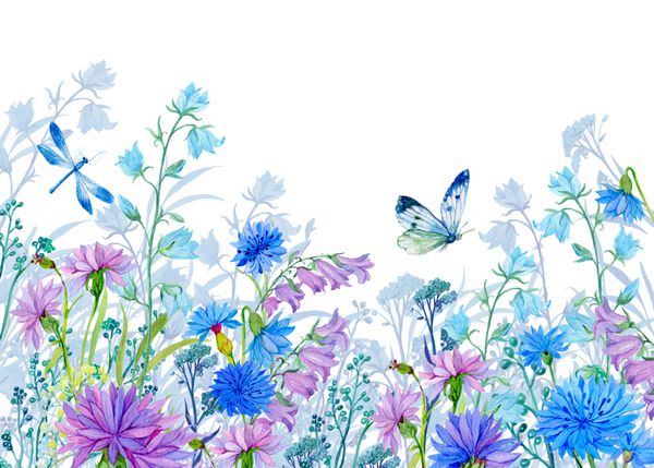 پس زمینه از تصویر flowerswatercolor Wildflowers و پروانه ها طراحی پارچه تصاویر پس زمینه کارت
