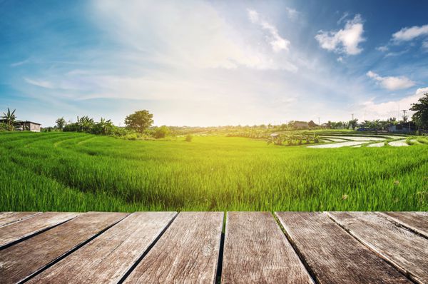 تراس چوبی با زمینه برنج سبز و آسمان آبی در طلوع آفتاب