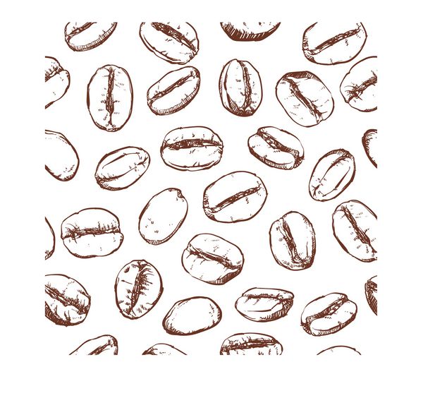 الگوی قهوه لوبیا شامل یکپارچه بر روی زمینه سفید طرح دانه های قهوه تخم مرغ با قهوه دست کشیده شده