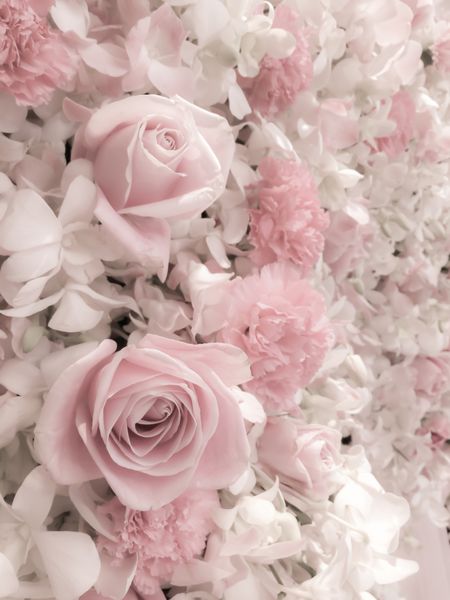گل های رنگارنگ پس زمینه صورتی برای مراسم عروسی افزایش یافت