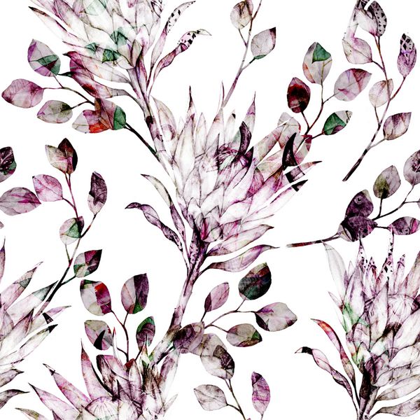 آبرنگ آفریقایی گل شاخه و برگ اوکالیپتوس الگوی موتیف های بدون درز با عناصر گل دست کشیده در پس زمینه سفید برای بسته بندی کاغذ دیواری پارچه