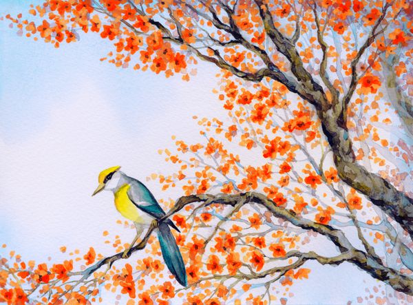 روشن watercolour رنگارنگ در زمینه کاغذ در ژاپن طرح سبک با فضای متن در آسمان سفید ناز طلایی آمریکایی parus عمده oriolus در جوانه های قدیمی از حیاط سرسبز باغ گل سرخ صورتی