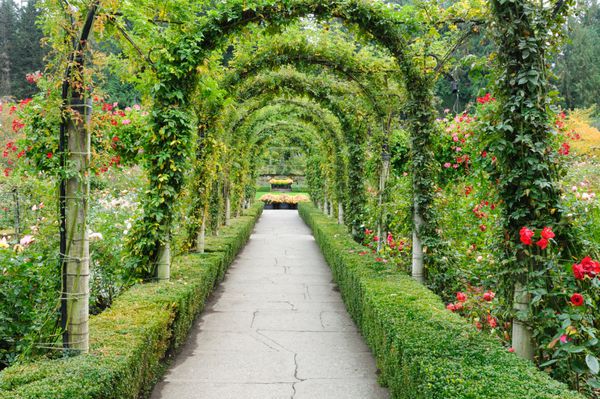 آرک های زیبای باغ و مسیر درون باغ های تاریخی بوتچارت بیش از 100 سال در شکوفه جزیره ونکوور بریتیش کلمبیا کانادایی