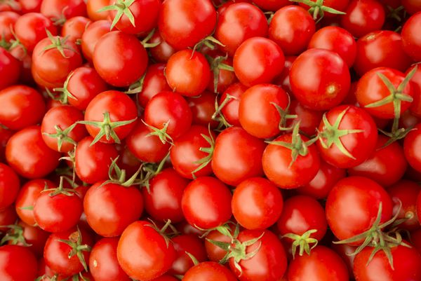 گوجه فرنگی قرمز خوشمزه مزرعه کشاورزی بازار سینی پر از سبزیجات ارگانیک می تواند به عنوان پس زمینه استفاده شود تمرکز انتخابی
