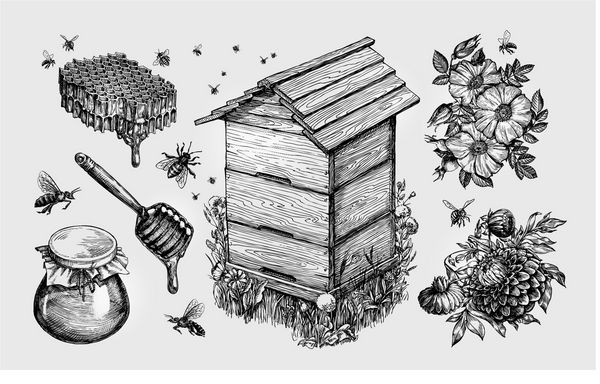 عسل مرغ زنبور عسل پرورش زنبور عسل تصویر برداری بردار زنبور عسل