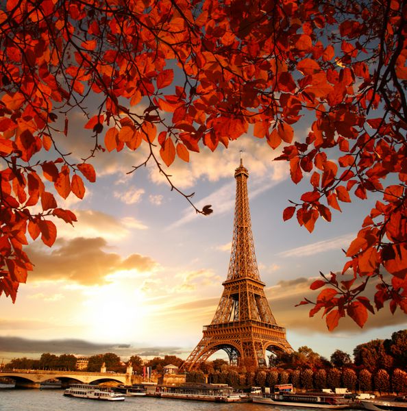 برج ایفل با برگ های پاییز در پاریس فرانسه