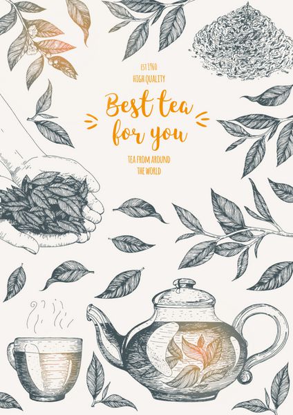 قاب تصویر برداری برای فروشگاه چای طراحی کارت های برداری با چای پوستر عمودی برای خانه چای مجموعه دست کشیده شده بردار بنر گرافیکی خطی
