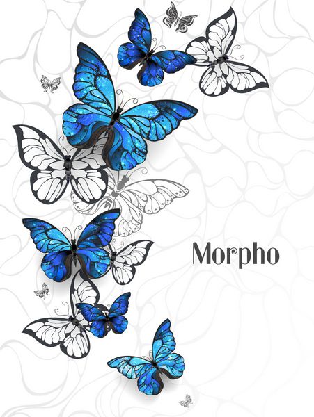 پرواز آبی پروانه مورفو و پروانه سفید در زمینه انتزاعی سبک