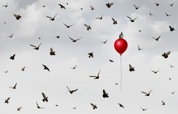 مفهوم نوآوری به عنوان یک گروه از پرندگان که با سردرگمی پرنده ای در یک بالن قرمز به عنوان یک استعاره موفقیت و رهبری همراه با عناصر تصویر سه بعدی پرواز می کند