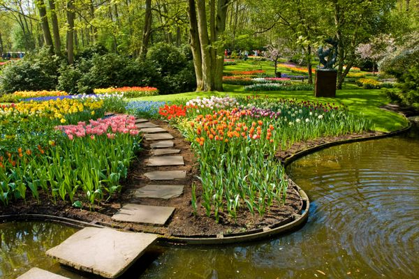 Keukenhof بزرگترین باغ گل در اروپا هلند