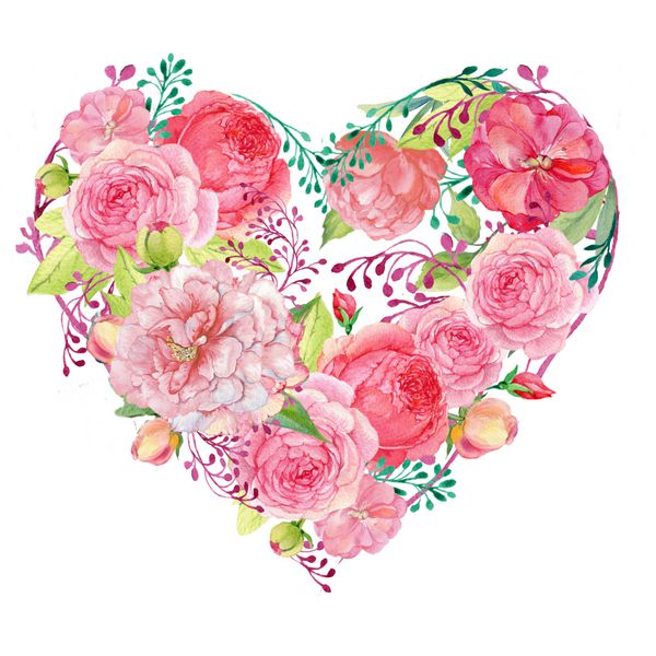 گل های قرمز و صورتی شیرینی ها و گل های رز در شکل قلب بر روی زمینه سفید backgroundwatercolor