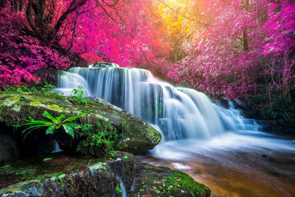 آبشار شگفت انگیز در جنگل پاییز رنگارنگ