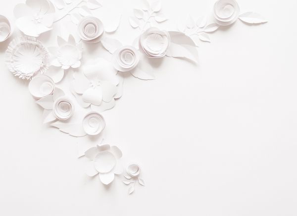 گل کاغذ سفید در پس زمینه سفید برش از کاغذ