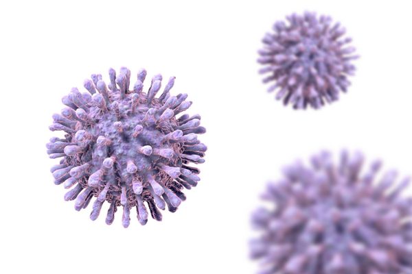 HIV ویروس ایدز تصویر 3D ویروس نقص ایمنی بدن دید نزدیک