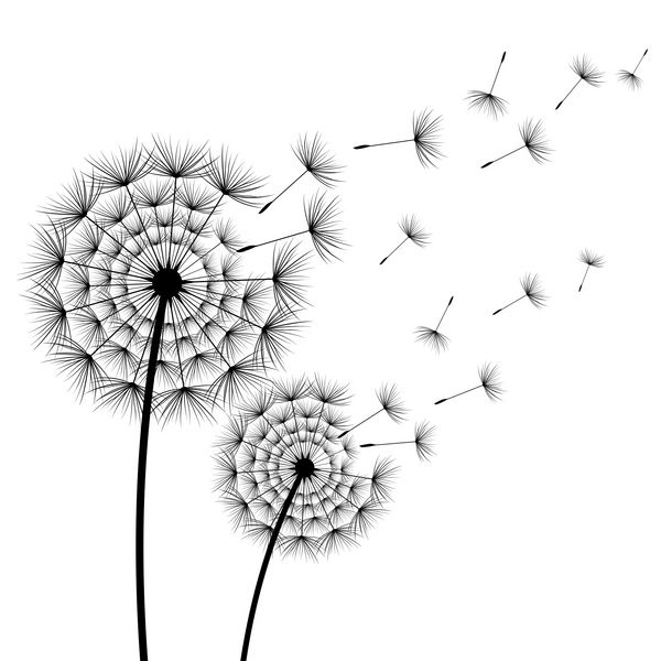 دو گل طلایی زیبا با گل های سیاه و سفید زیبا و پرواز بر روی زمینه سفید گل تابستانی مدرن شیک یا تابستان تصویر زمینه پس زمینه طبیعت مدرن تصویر برداری