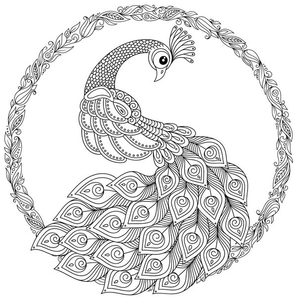 طاووس در سبک zentangle صفحه رنگ آمیزی ضد استرس بزرگسالان سیاه و سفید دست کشیده برای کتاب رنگ آمیزی