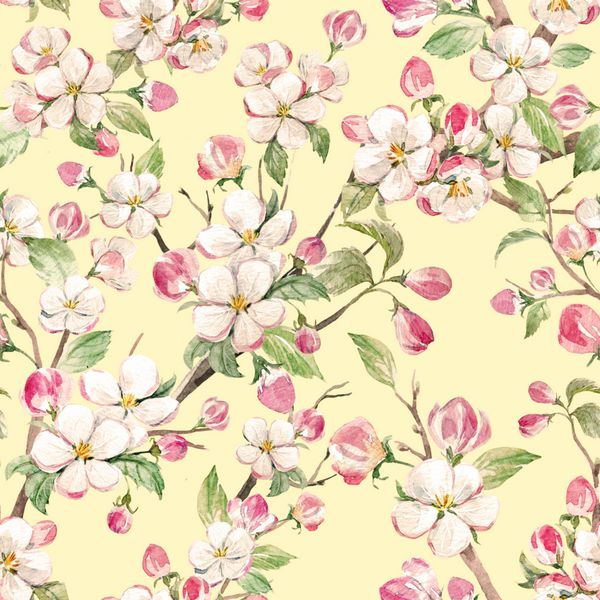 الگوی گل گل آبرنگ شکوفه درخت سیب رنگ یکپارچهسازی با سیستمعامل