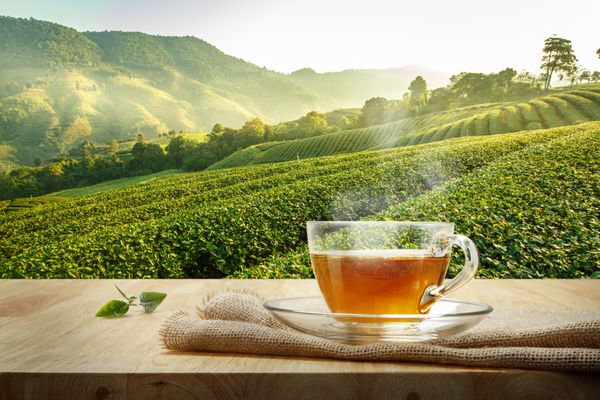 فنجان گرم چای و برگ چای سبز ارغوانی بر روی میز چوبی با پس زمینه چای چای