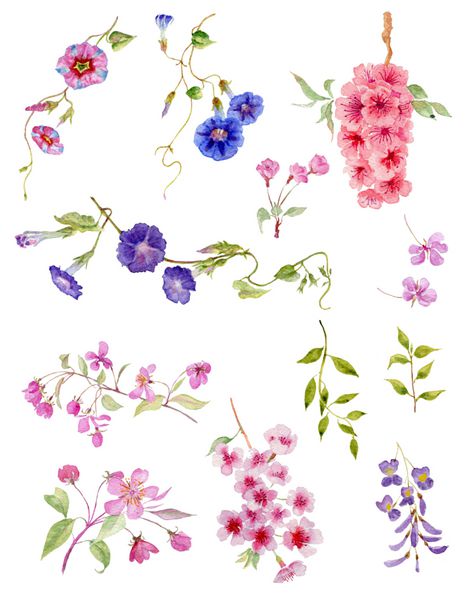گل های آبرنگ مجموعه گل های آبرنگ برای طراحی های مختلف بیش از سفید دست کشیده شده تصویر مجموعه ای جداگانه