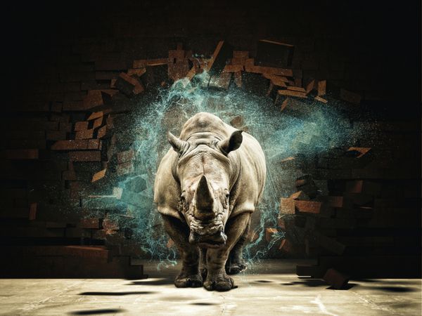 Rhino تخریب آجر دیوار 3d رندر تصویر
