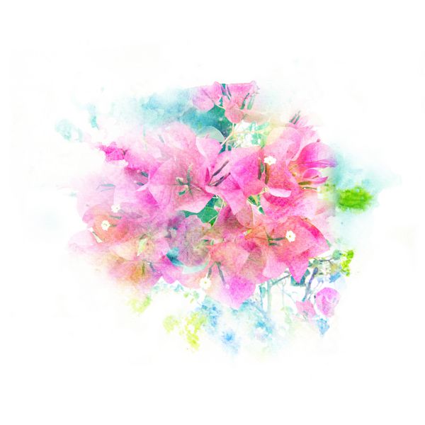 نقاشی آبرنگ نقاشی از گل شکوفه پس زمینه گل انتزاعی هنری