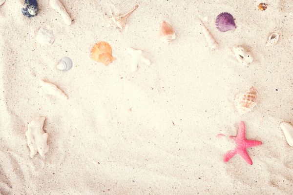 منظره ای از شن و ماسه ساحل با پوسته و ستاره دریایی مفهوم پس زمینه تابستان تن تن