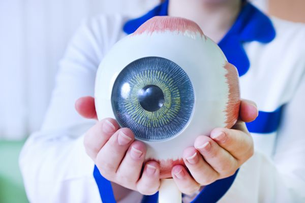 نزدیکترین چشم پزشک چشم چشم پزشکی مدل چشم نزدیک چشم پزشک یک مدل چشم دارد
