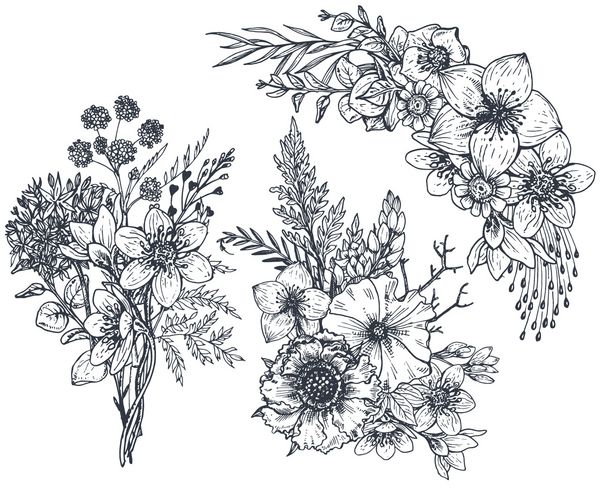 مجموعه ای از ترکیبات گل دسته گلها و گیاهان دست کشیده شده الگوهای بردار تک رنگ در سبک طرح