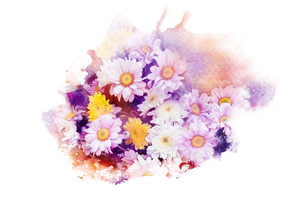 نقاشی آبرنگ نقاشی از گل شکوفه خوشه ای از گل داودی پس زمینه گل انتزاعی هنری