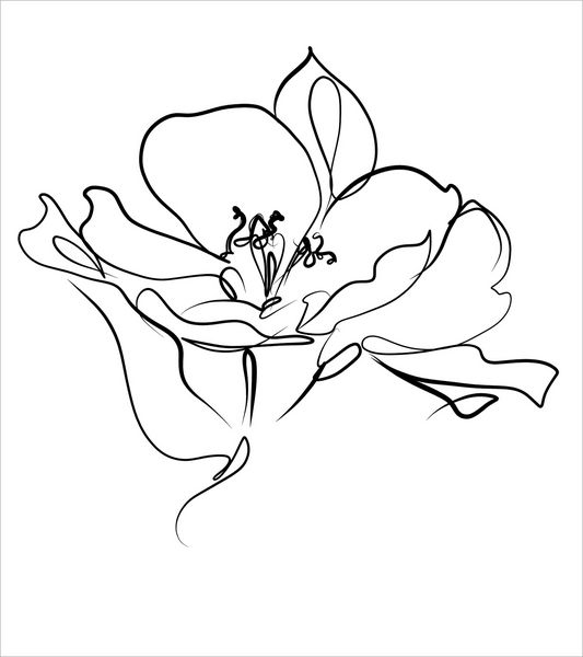 طراحی گرافیک برداری با الگوی گل برای طراحی طراحی گل گل گل نقاشی طرح نقاشی لیلی لاله