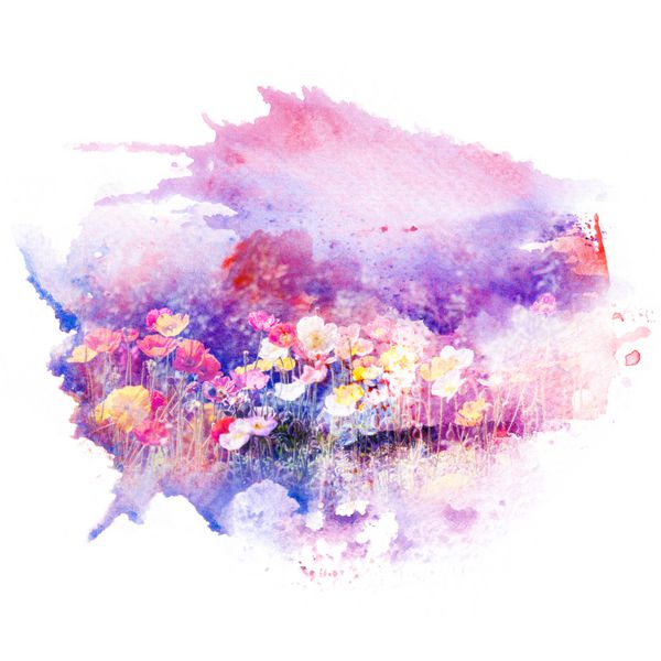 نقاشی آبرنگ نقاشی شکوفه تریاک خشخاش پس زمینه گل انتزاعی هنری